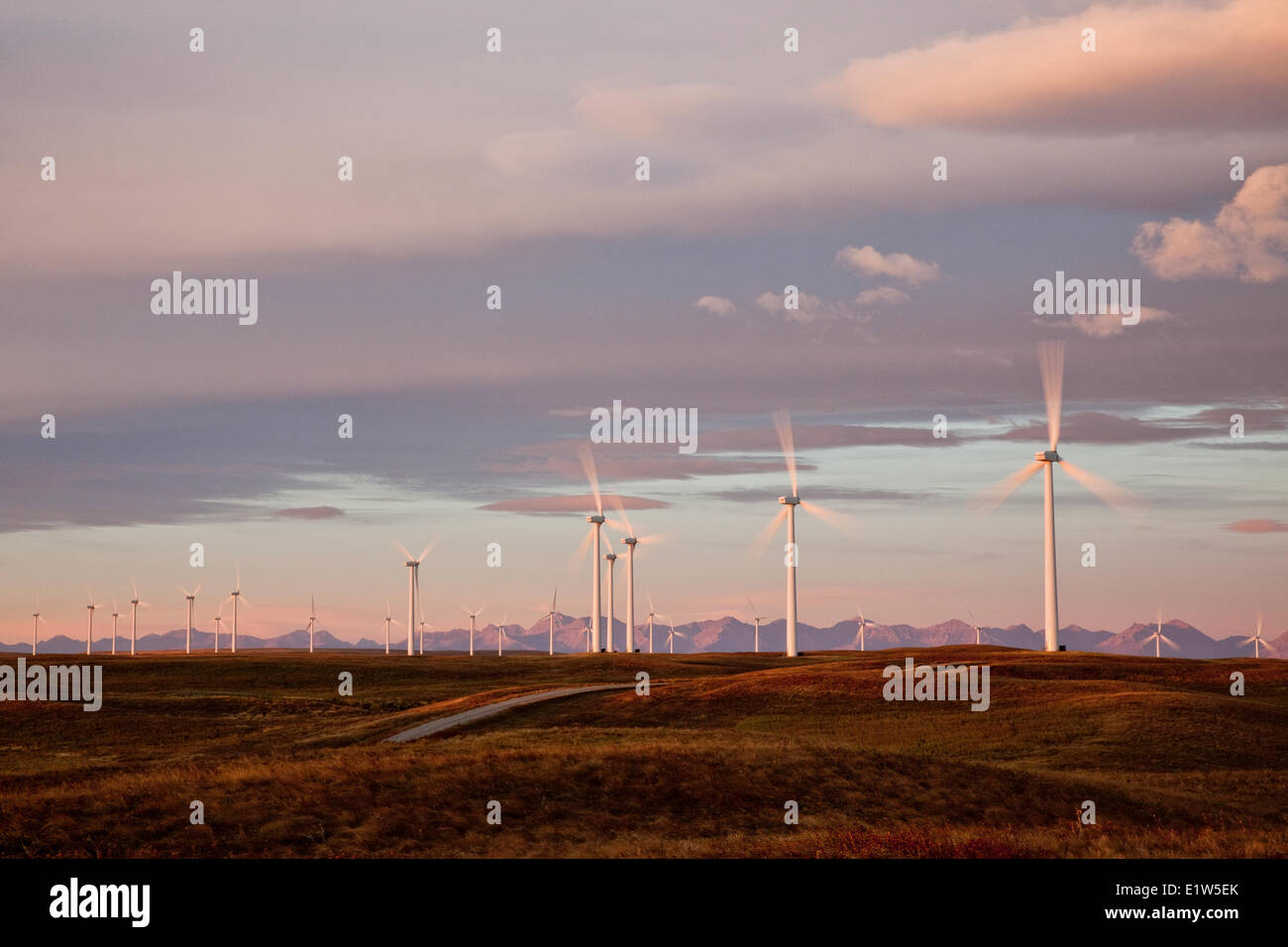 Generazione di potenza operativa di mulini a vento all'alba vicino a Fort Macleod, southern Alberta, Canada. Foto Stock
