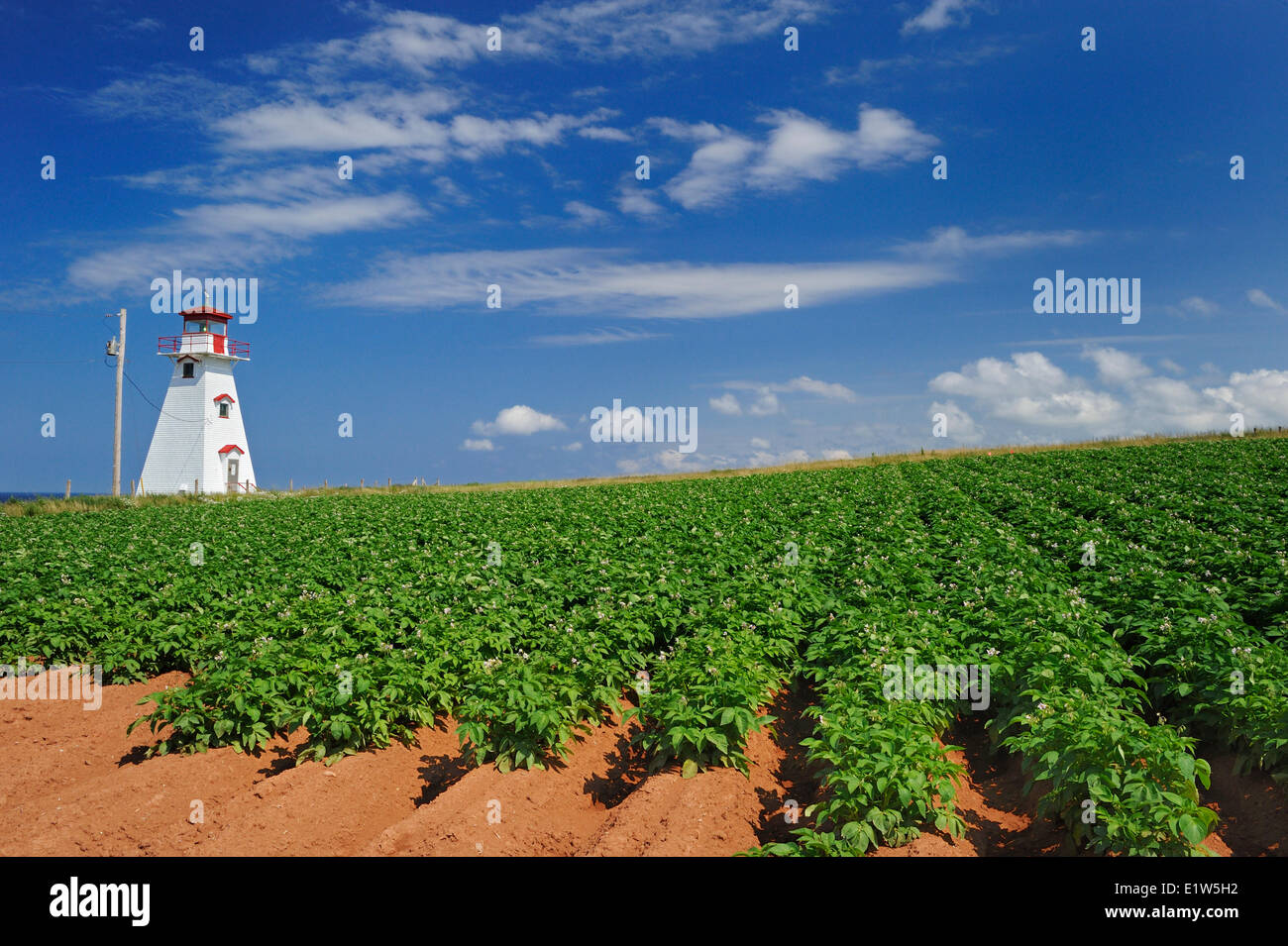 Tryon del Capo Faro e campo di patate e di terra rossa, Prince Edward Island, Canada Foto Stock