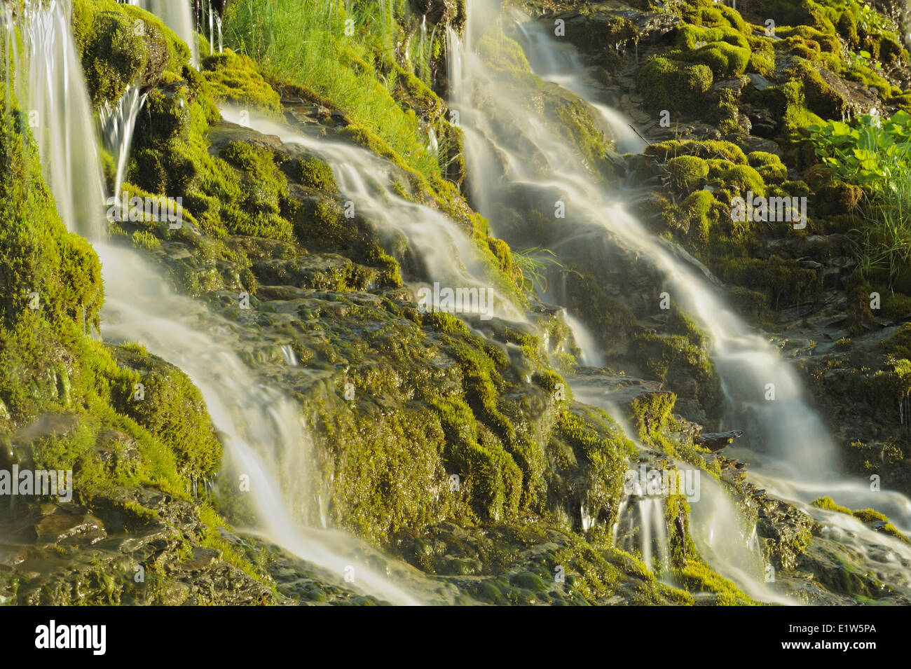 Dettaglio della cascata, Forillon National Park, Quebec, Canada Foto Stock