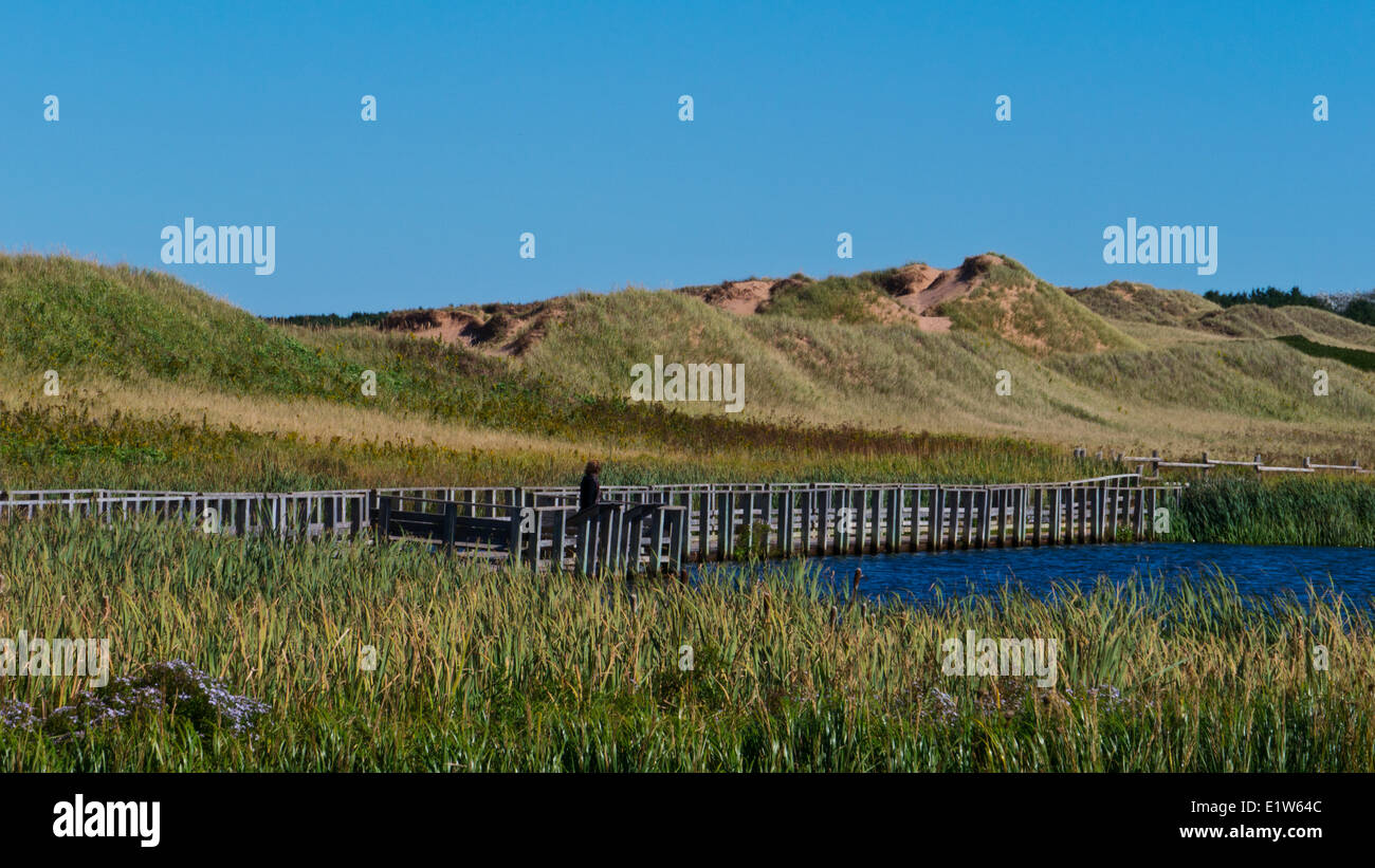 Cavendish, Prince Edward Island, Canada Foto Stock