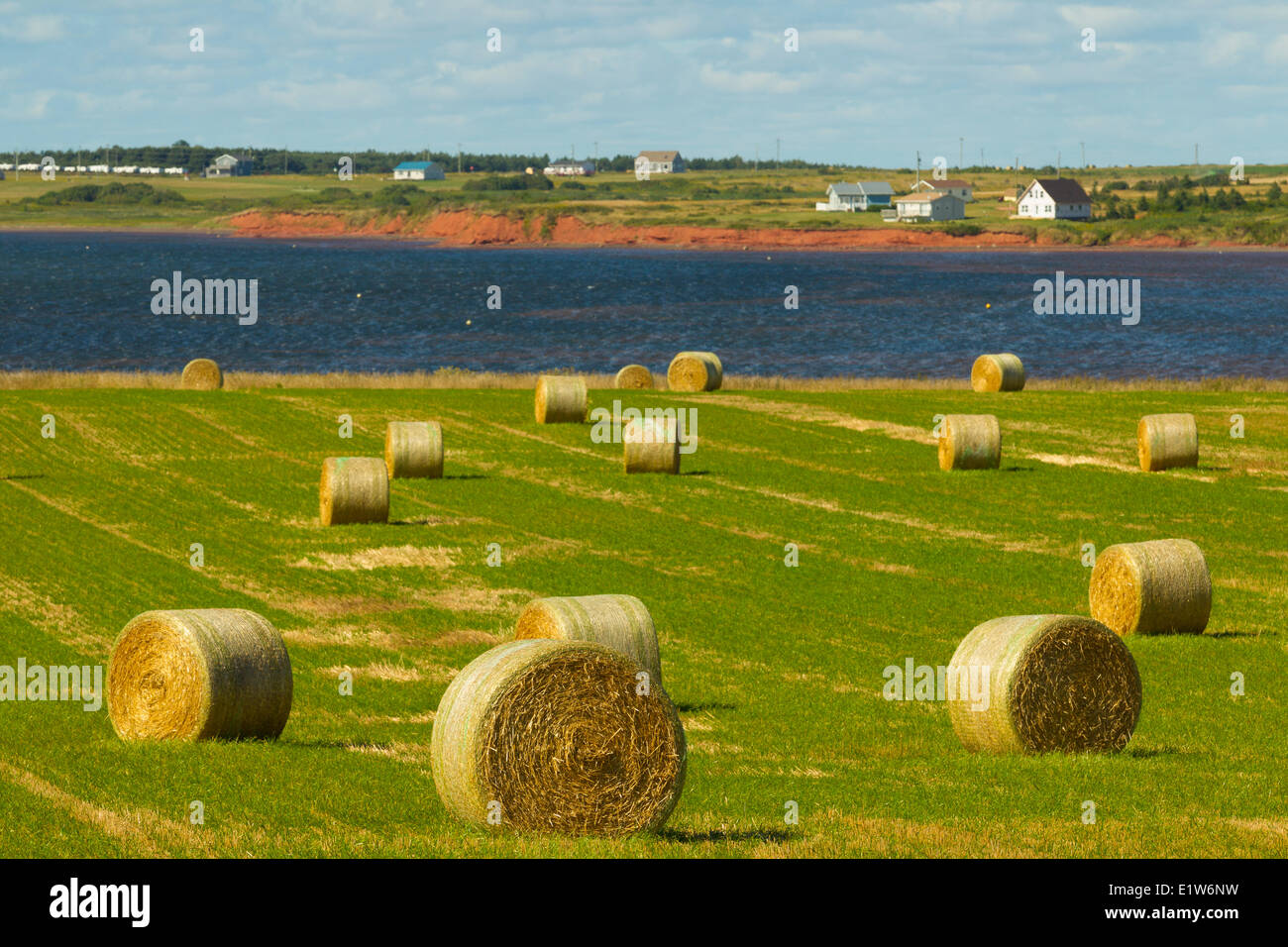 Balle di fieno, Darnley bacino, Prince Edward Island, Canada Foto Stock