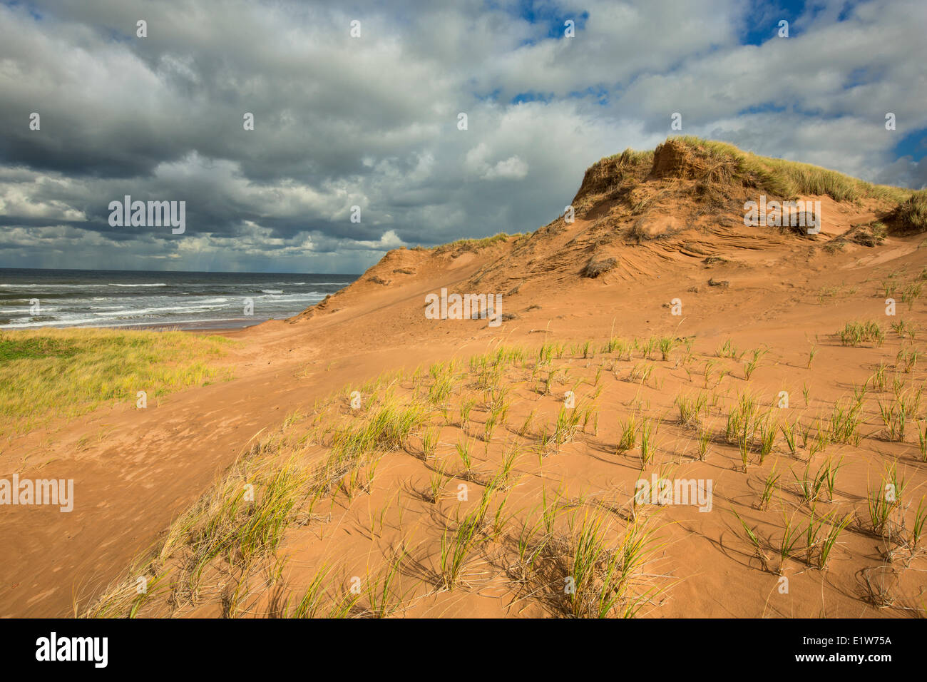 Dune di sabbia, Brackley Beach, Prince Edward Island National Park, Canada Foto Stock