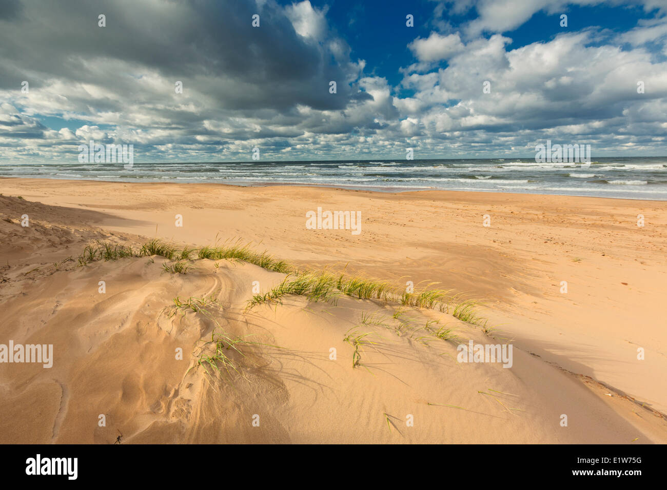 Blooming Point Beach, Prince Edward Island National Park, Canada Foto Stock