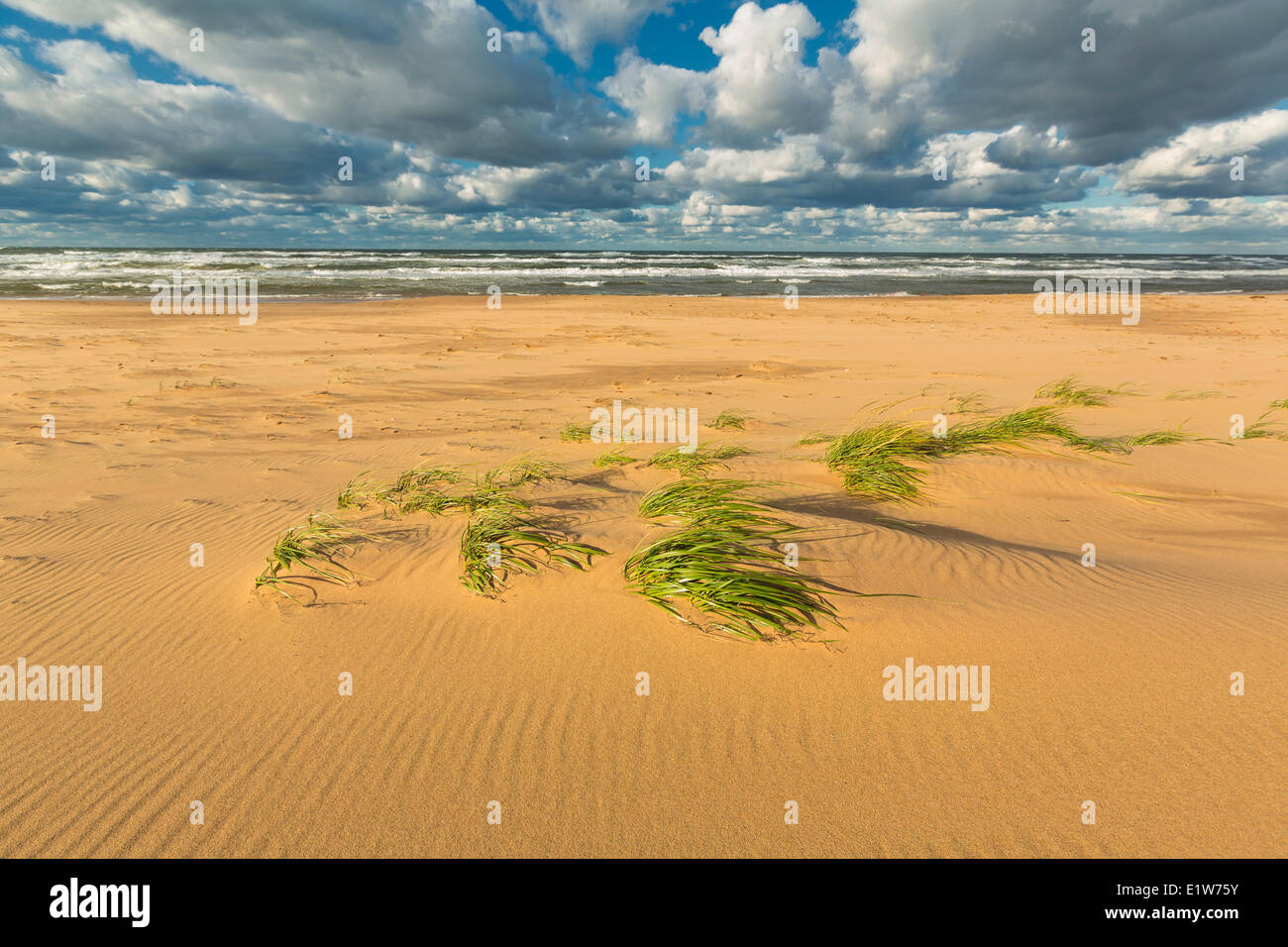 Blooming Point Beach, Prince Edward Island National Park, Canada Foto Stock