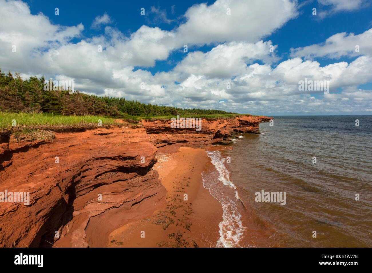 Rosso erose scogliere di arenaria, Kildare Capes, Prince Edward Island, Canada Foto Stock