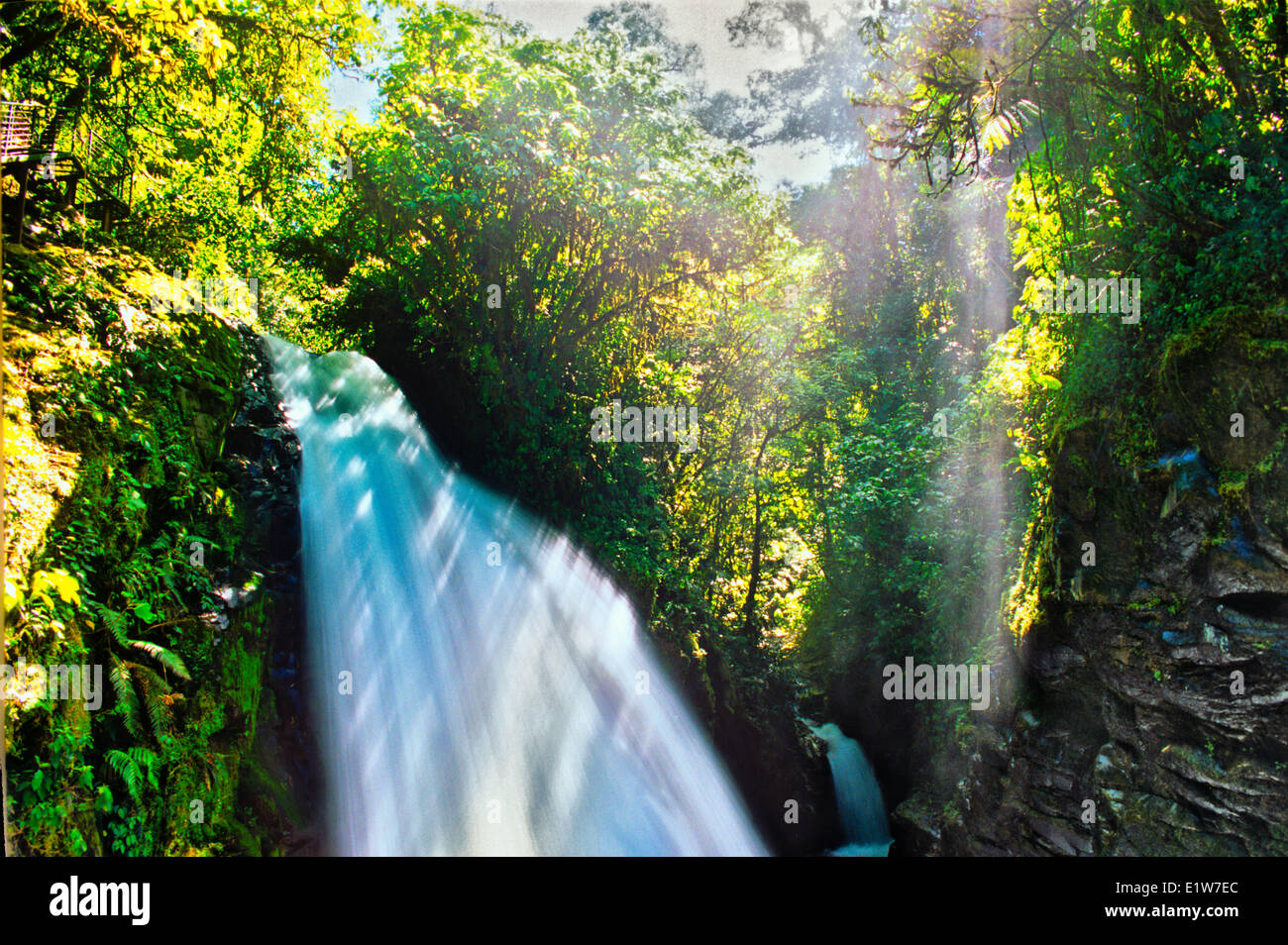 La cascata nel cloud forest, La Paz Waterfall Gardens, Costa Rica Foto Stock