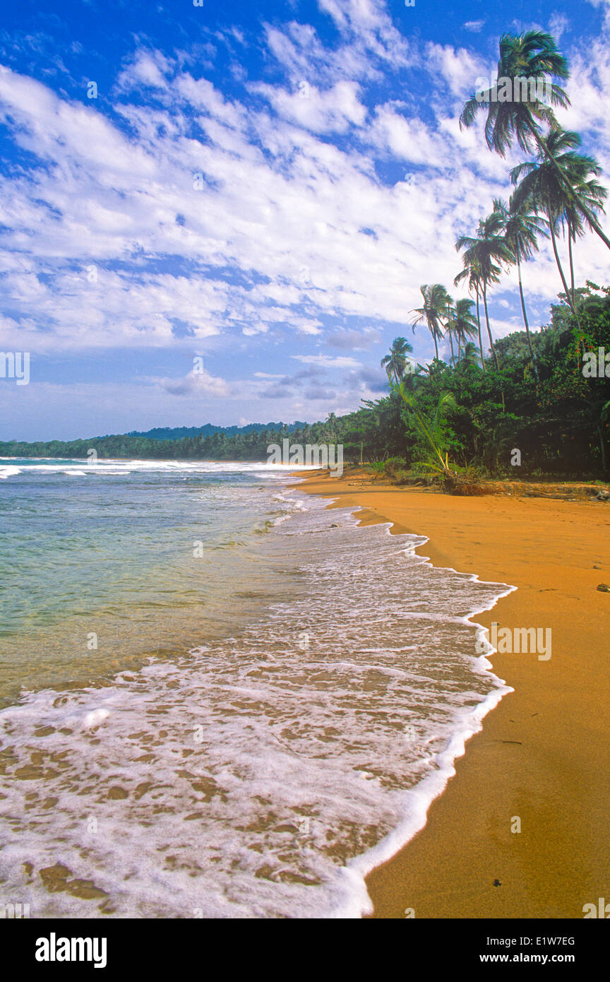 Rottura di onde sulla spiaggia, Manzanillo, costa caraibica, Costa Rica Foto Stock