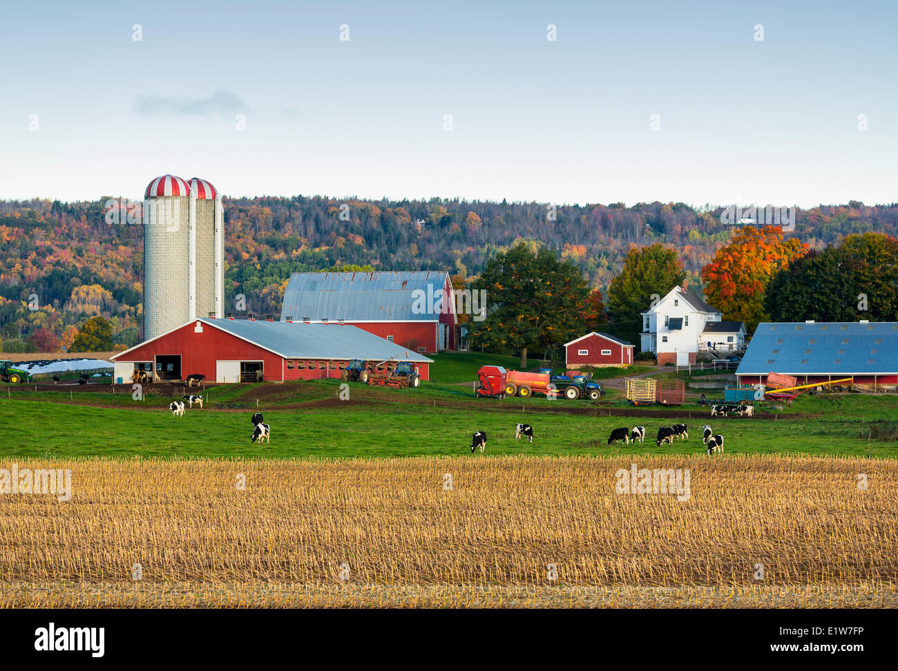 Dairy Farm, Brooklyn, Nova Scotia, Canada Foto Stock
