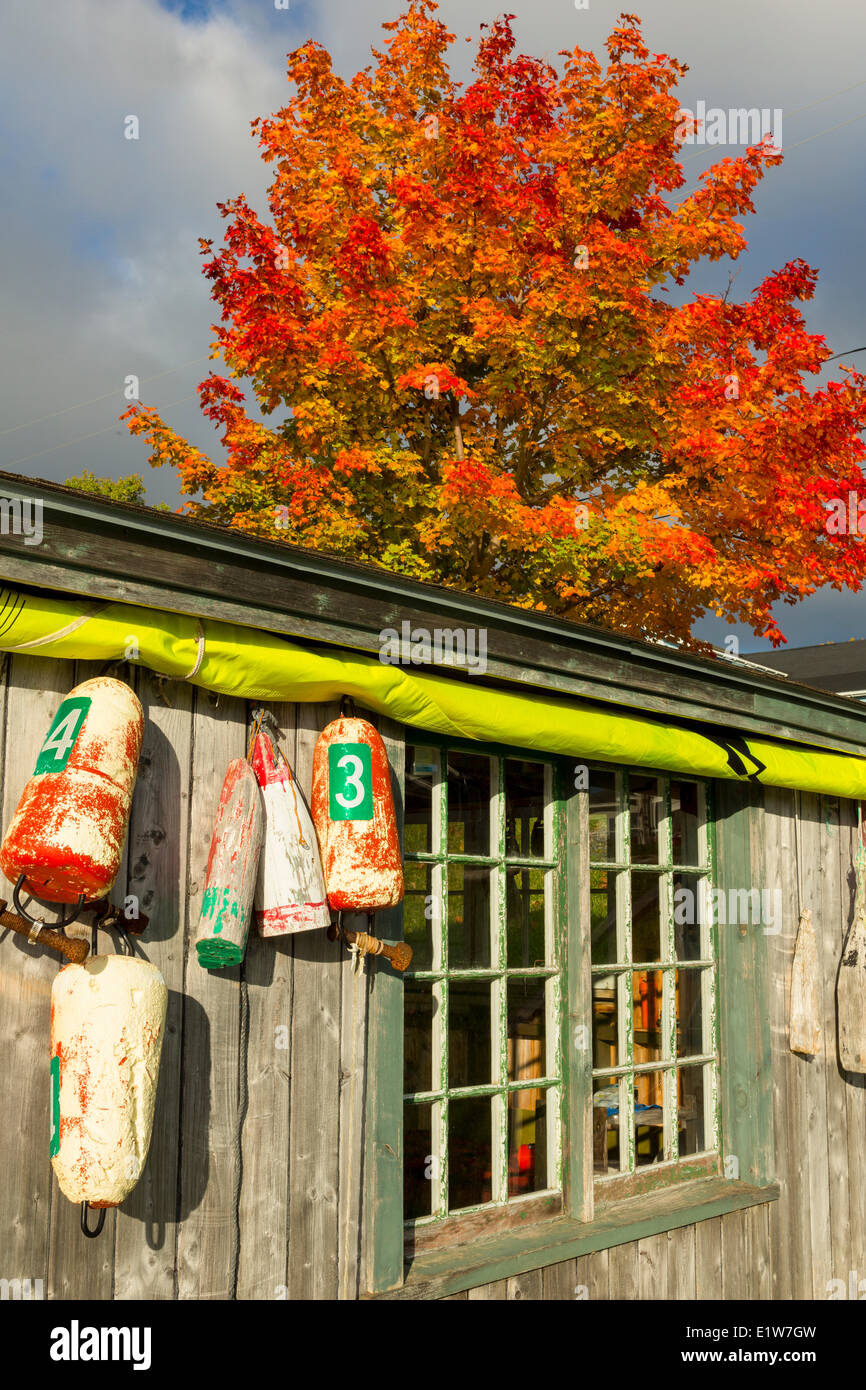 Capannone, Baddeck Waterfront, Bras d'Or Lago, Cape Breton, Nova Scotia, Canada Foto Stock
