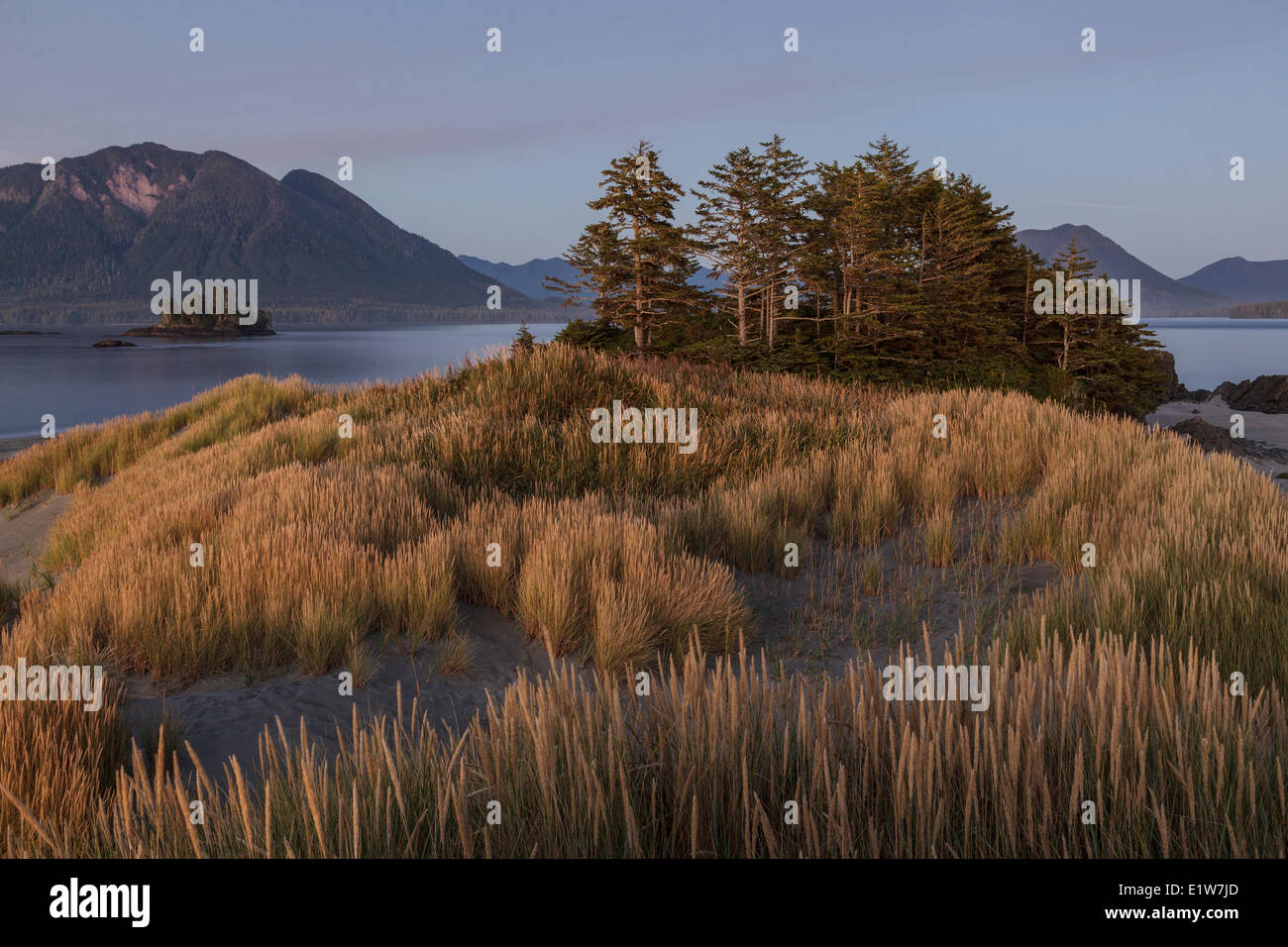 Il crepuscolo scende su Whaler isolotto con montagne costiere Vancouver Island sull isola di Flores in background. Clayoquot Sound Foto Stock