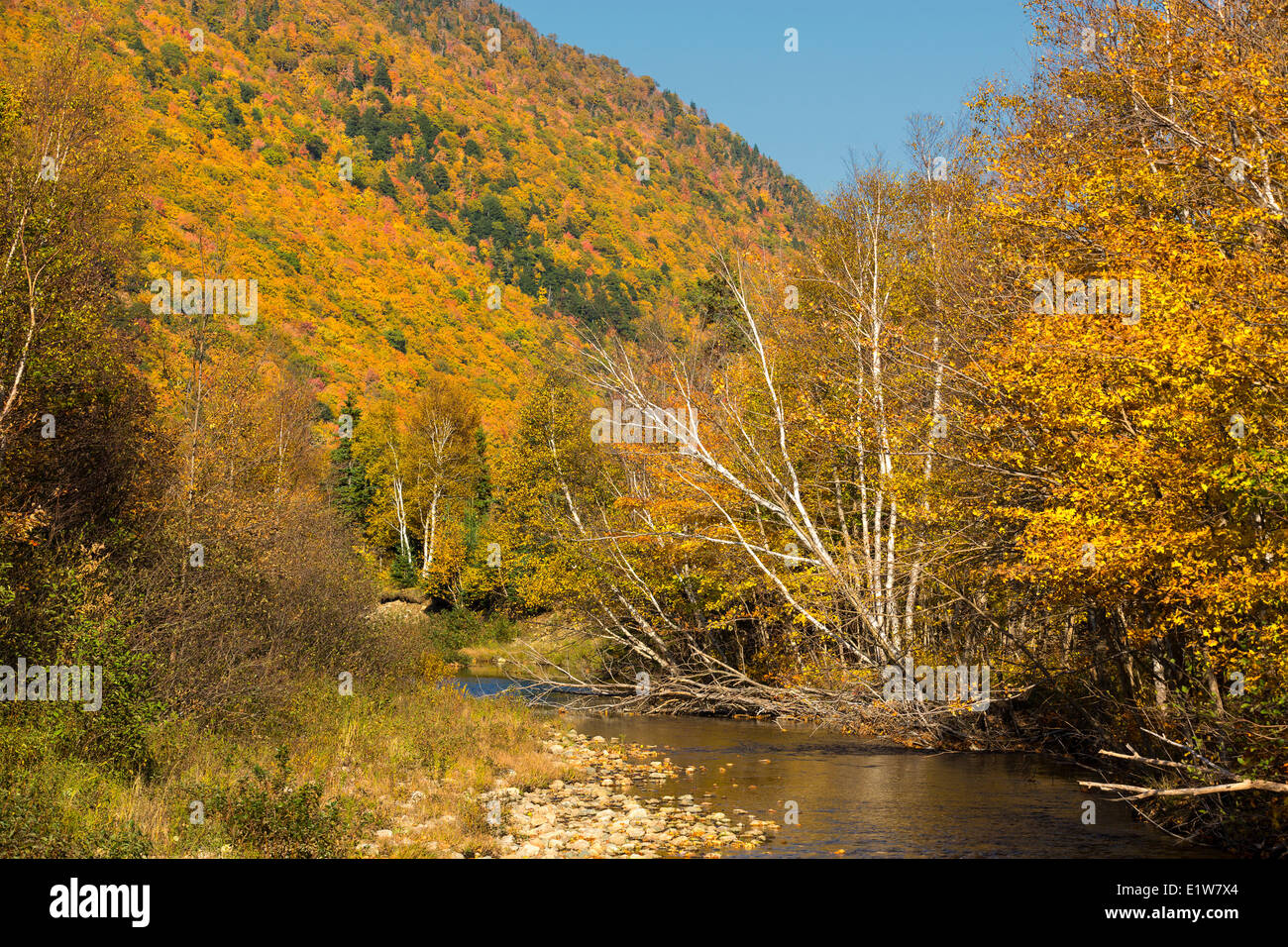 Big Intervale, Cabot Trail, Cape Breton Highlands National Park, Cape Breton, Nova Scotia, Canada Foto Stock