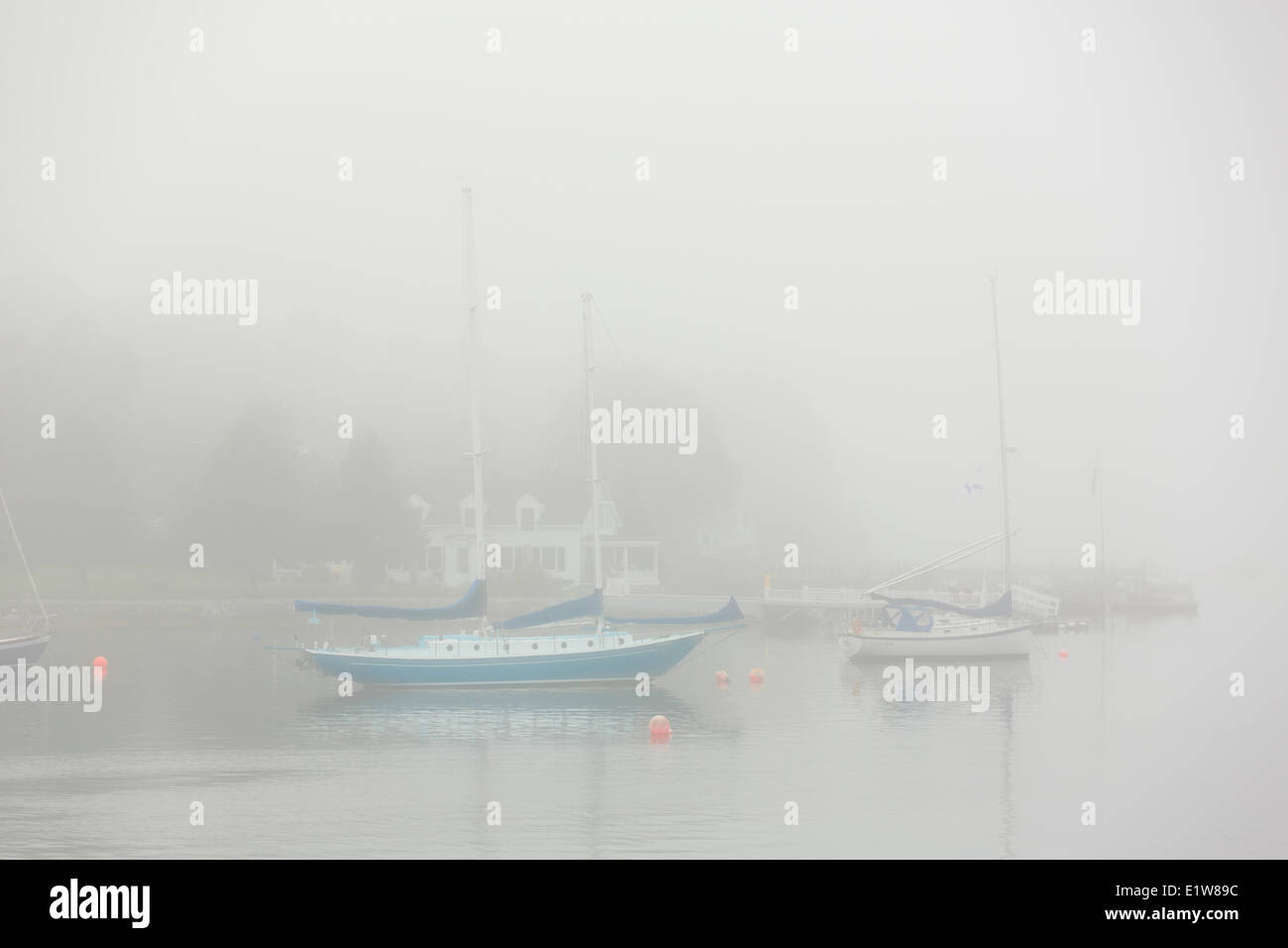 Barche a vela nella nebbia, Chester, Nova Scotia, Canada Foto Stock