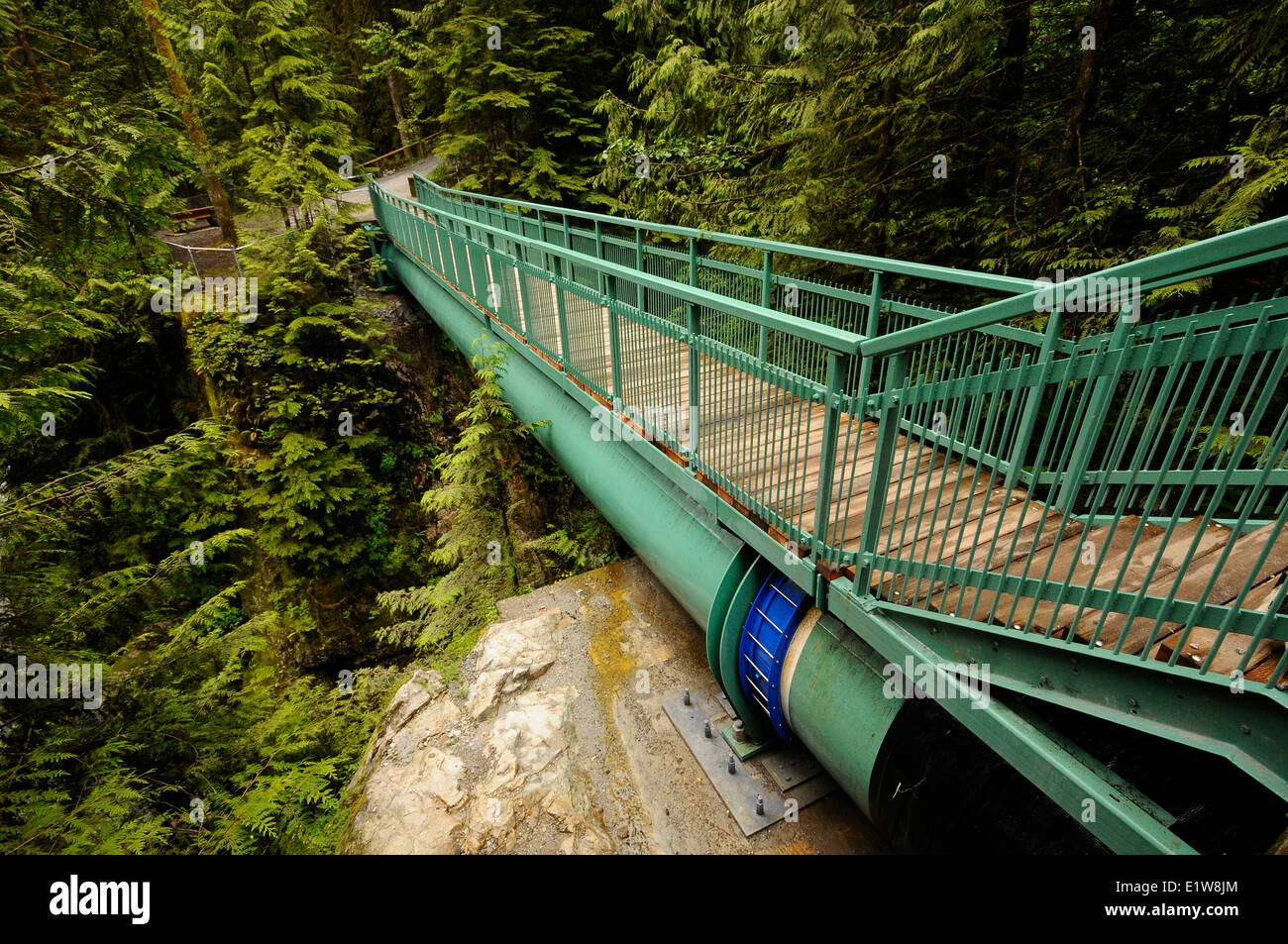 La foresta pluviale e trail scene nel fiume Capilano Parco Regionale, ponte tubo, North Vancouver, British Columbia, Canada Foto Stock