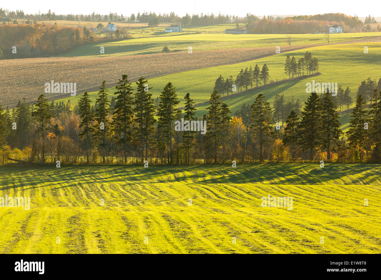 I campi agricoli, New Glasgow, Prince Edward Island, Canada Foto Stock