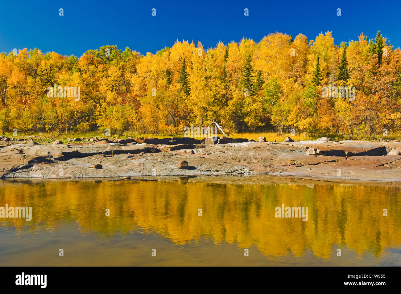 Precambrian shield roccia lungo il fiume Winnipeg con colori autunnali in background, vicino a sette sorelle, Manitoba, Canada Foto Stock