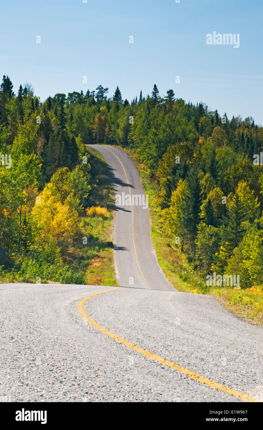 Strada asfaltata passando attraverso il bosco, il lago dei boschi, Ontario, Canada Foto Stock