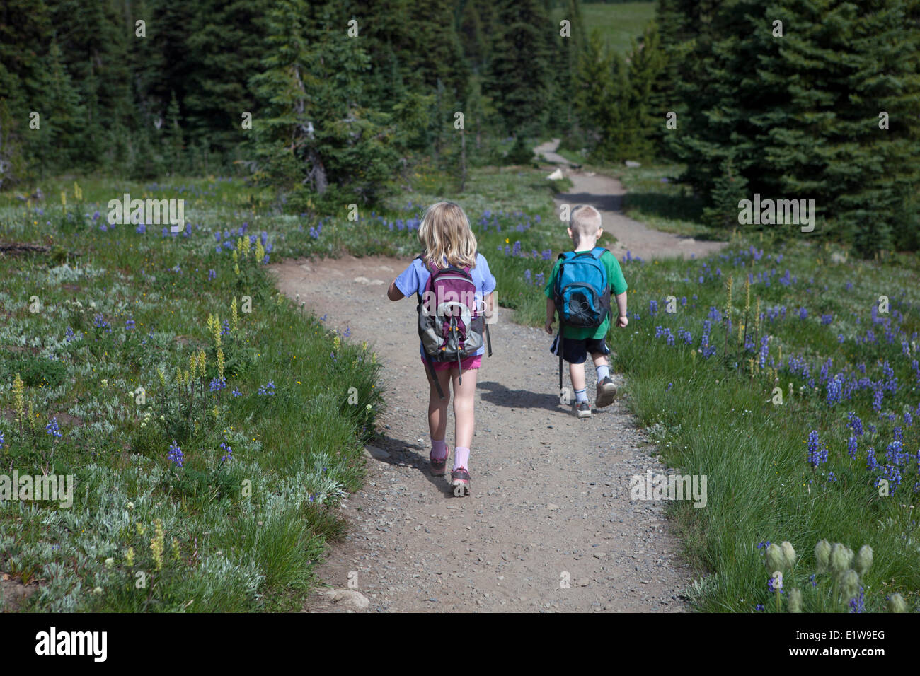 Ragazzo e ragazza escursionismo in prati alpini, Heather Trail, Manning Provincial Park, British Columbia, Canada Foto Stock