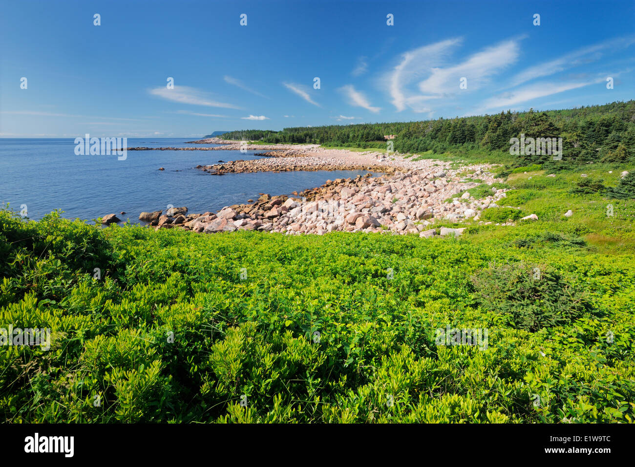 Costa rocciosa su Cabot Trail a Grotta Verde, Cape Breton Highlands National Park, Nova Scotia, Canada Foto Stock