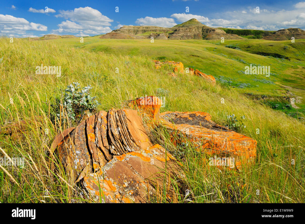 Rocce di arenaria su prairie in Killdeer Badlands, blocco orientale, praterie National Park, Saskatchewan, Canada Foto Stock