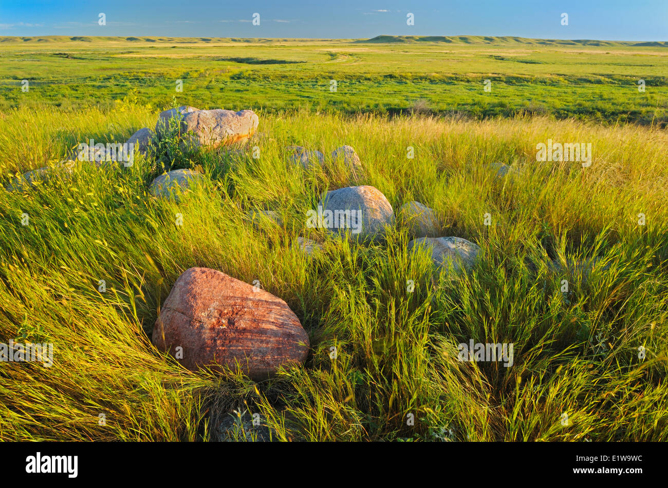 Prairie praterie di sunrise, praterie National Park, Saskatchewan, Canada Foto Stock