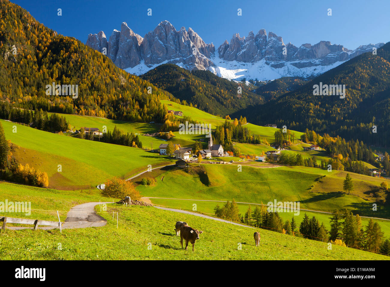 Santa Maddalena in Val di Funes, Trentino Alto Adige, Dolomiti, Alto Adige, Italia Foto Stock