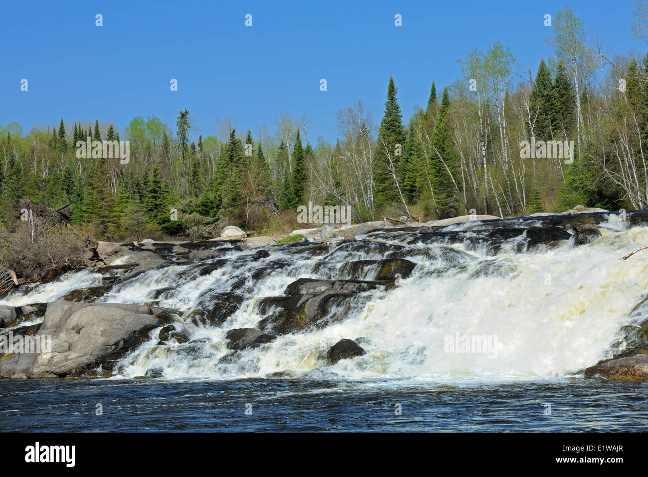 Trota di fiume Big Falls, vicino a orecchio cade, Ontario, Canada Foto Stock