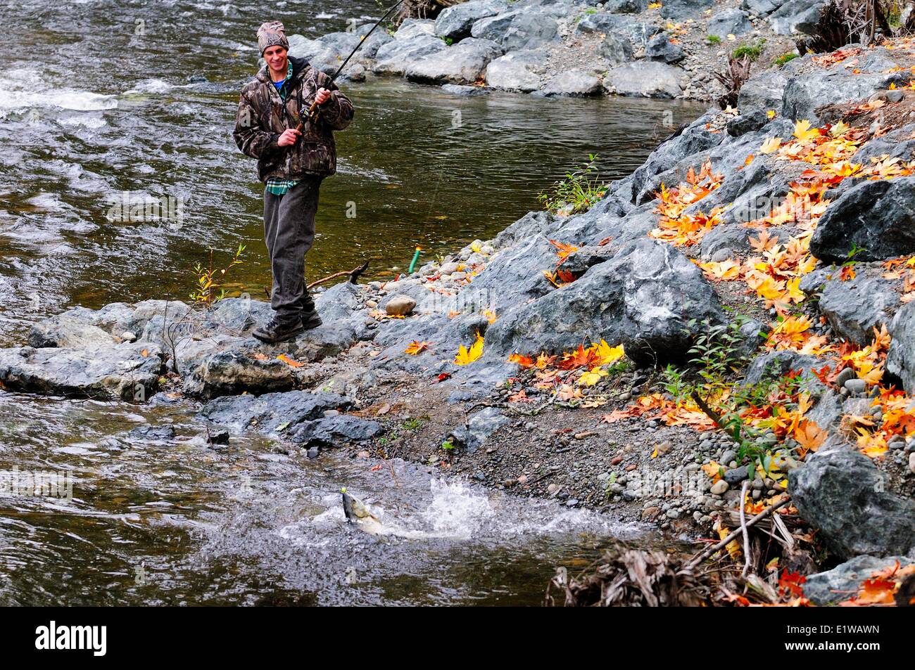 Un giovane uomo di terre un salmone chum mentre la pesca su Little Qualicum River vicino a Qualicum, BC, Canada Foto Stock