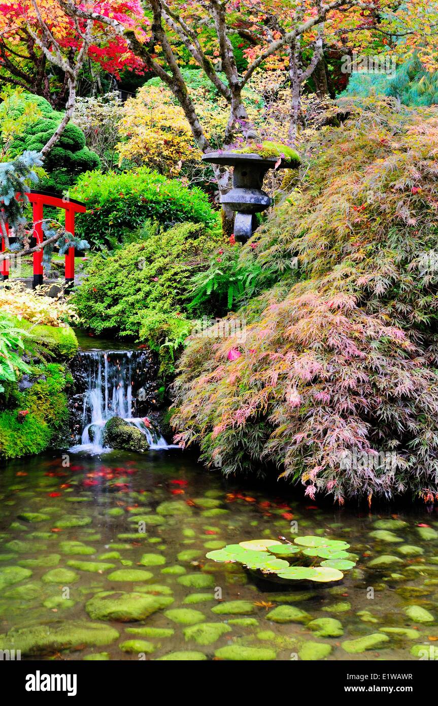 Il giardino giapponese ai Giardini Butchart in Victoria, BC, Canada Foto Stock