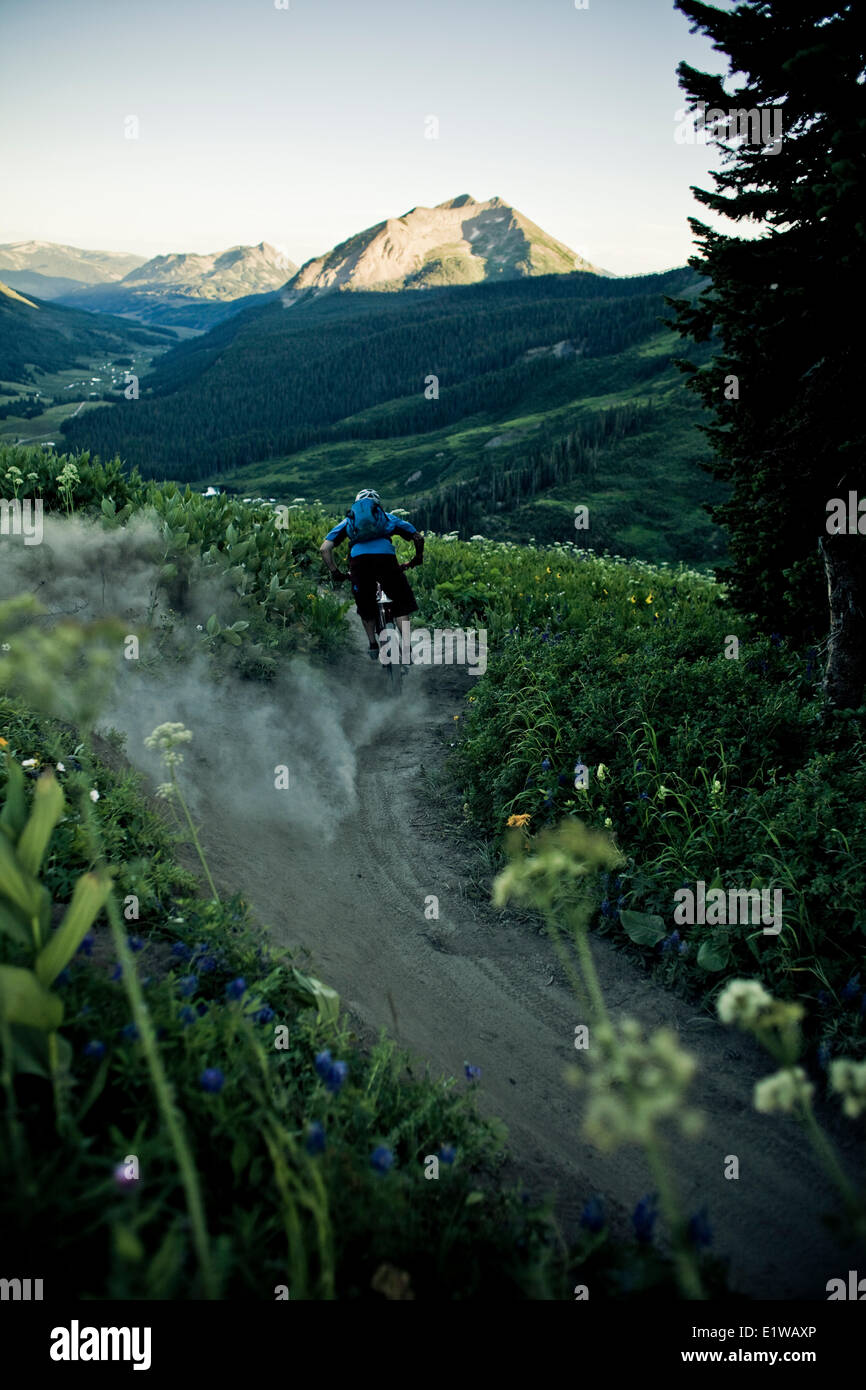 Un maschio di mountain biker cavalca il sentiero 401, Crested Butte, CO Foto Stock