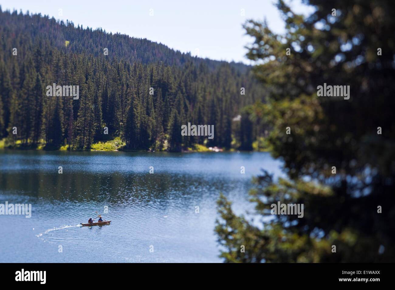 Crested Butte, Colorado Foto Stock