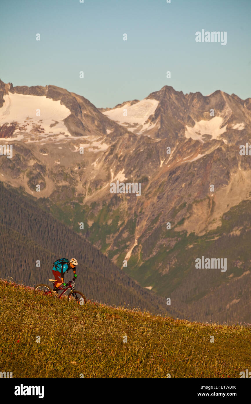 Un maschio di mountain biker cavalca le flowy, alta alpine Frisby Ridge trail. Revelstoke, BC Foto Stock Un maschio di mountain biker cavalca le flowy, alta alpine Frisby Ridge trail. Revelstoke, BC Foto Stock
