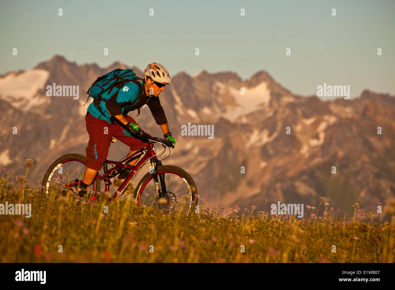 Un maschio di mountain biker cavalca le flowy, alta alpine Frisby Ridge trail. Revelstoke, BC Foto Stock