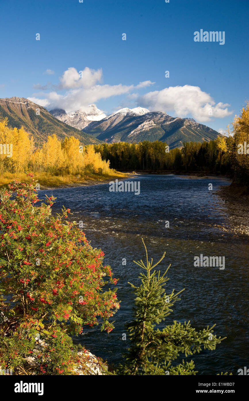 Elk River e tre sorelle in autunno, Fernie, BC, Canada. Foto Stock