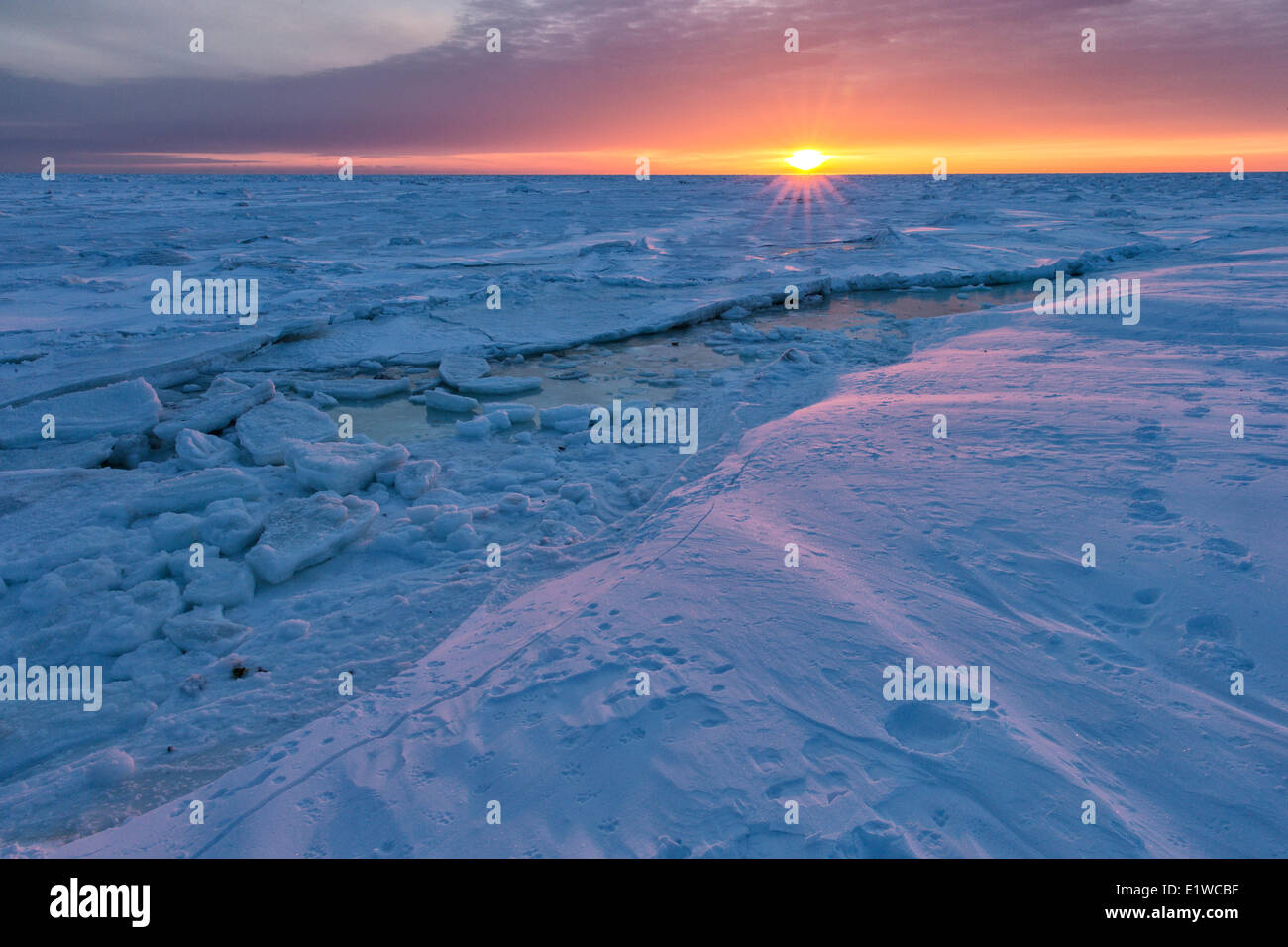 Sunrise over congelati zona intercotidale, costa ovest della Baia di Hudson, a sud di Arviat, Nunavut, Canada Foto Stock