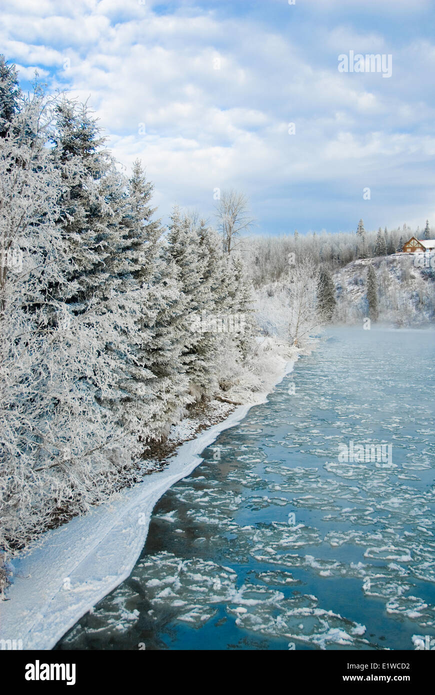 In inverno il flusso di ghiaccio, Telkwa, Northern British Columbia, Canada Foto Stock