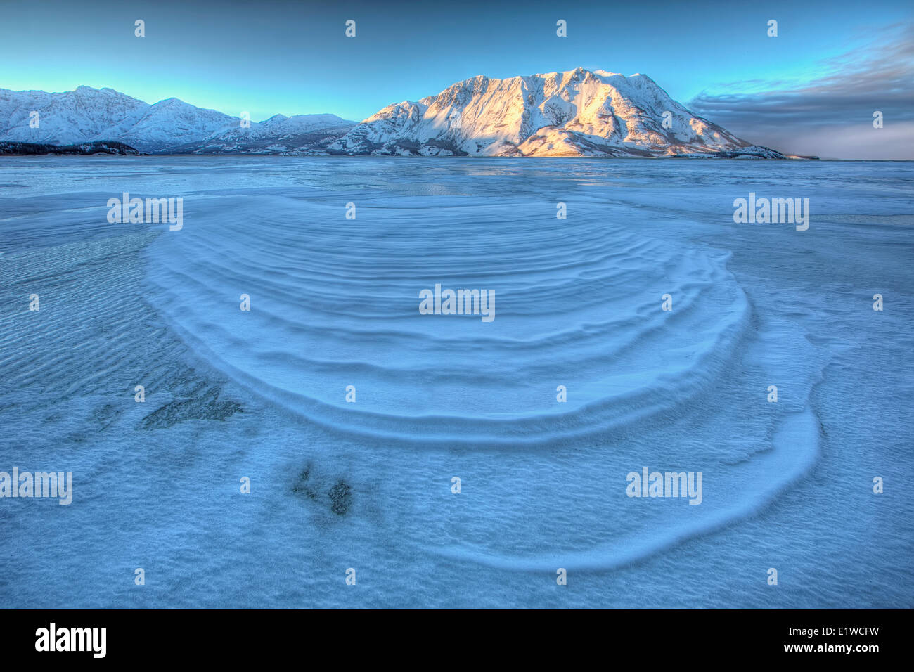 Vento neve soffiata creare interessanti motivi sulla superficie gelata Lago Kluane Yukon. Pecore di montagna è visibile in lontananza. Foto Stock