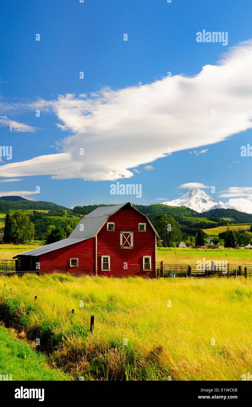 Un vecchio fienile vicino a Mt. Il cofano vicino a Hood River, Oregon. Foto Stock