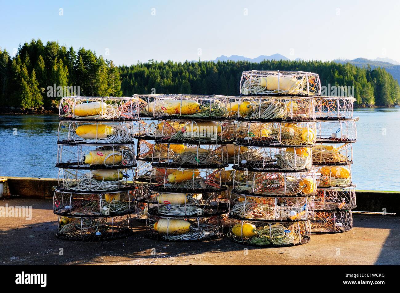Trappole di granchio su una banchina in Tofino, BC. Foto Stock