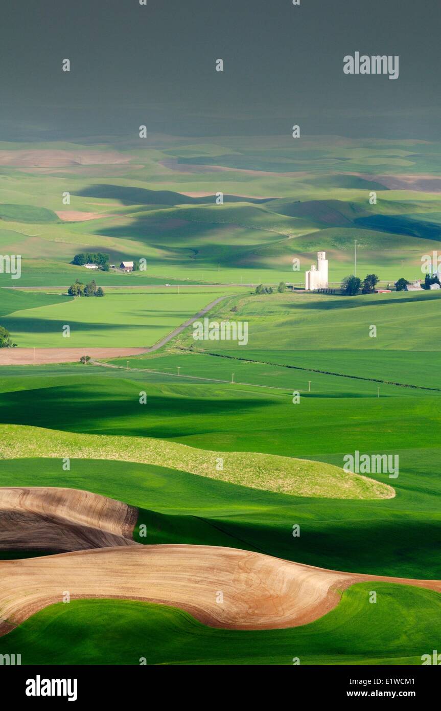 Un silo, fattorie e rotolamento terreno agricolo nella regione di Palouse nello Stato di Washington, USA. Foto Stock