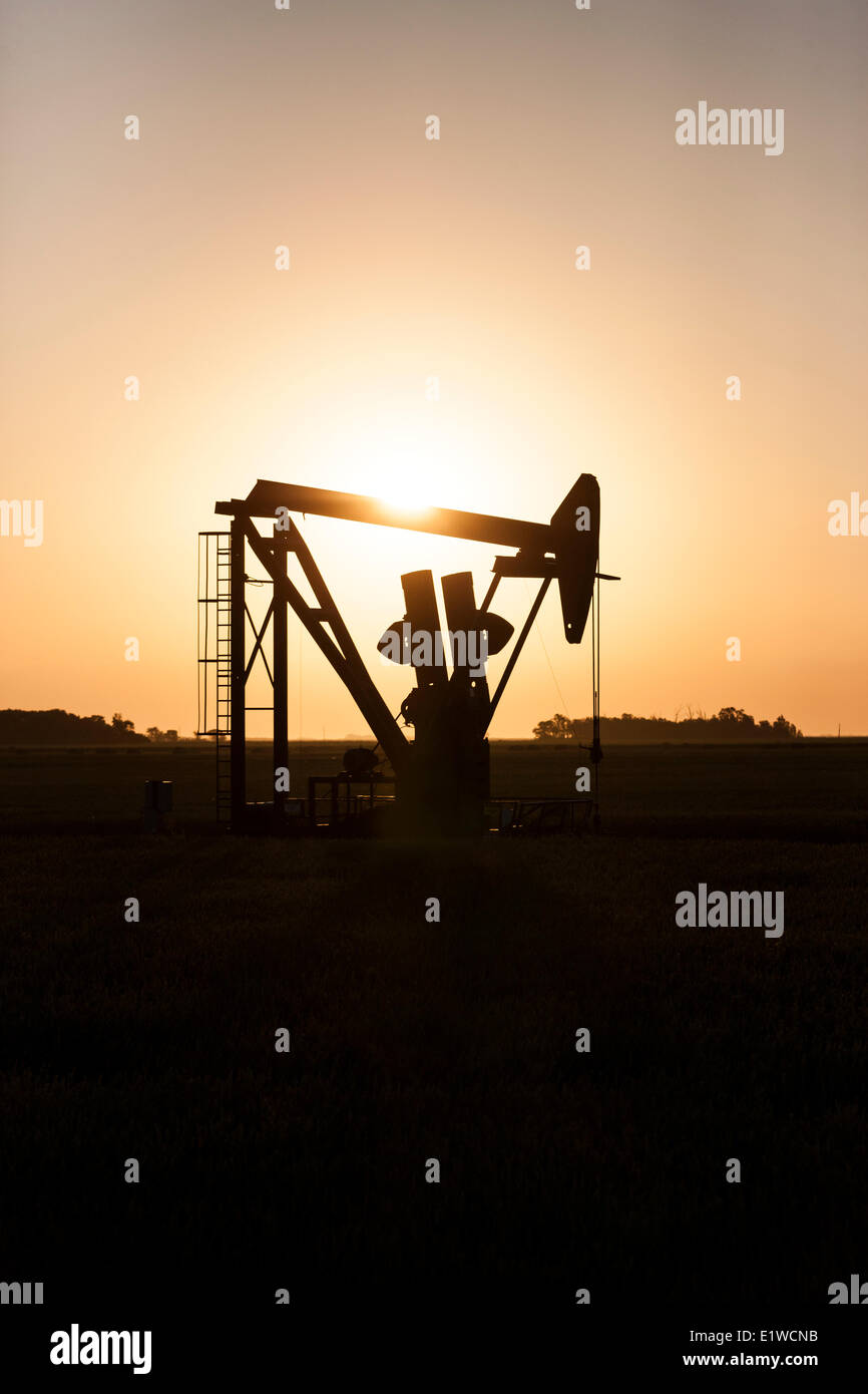 Olio pumpjack stagliano contro il Rising Sun nel sud di Manitoba in Canada Foto Stock