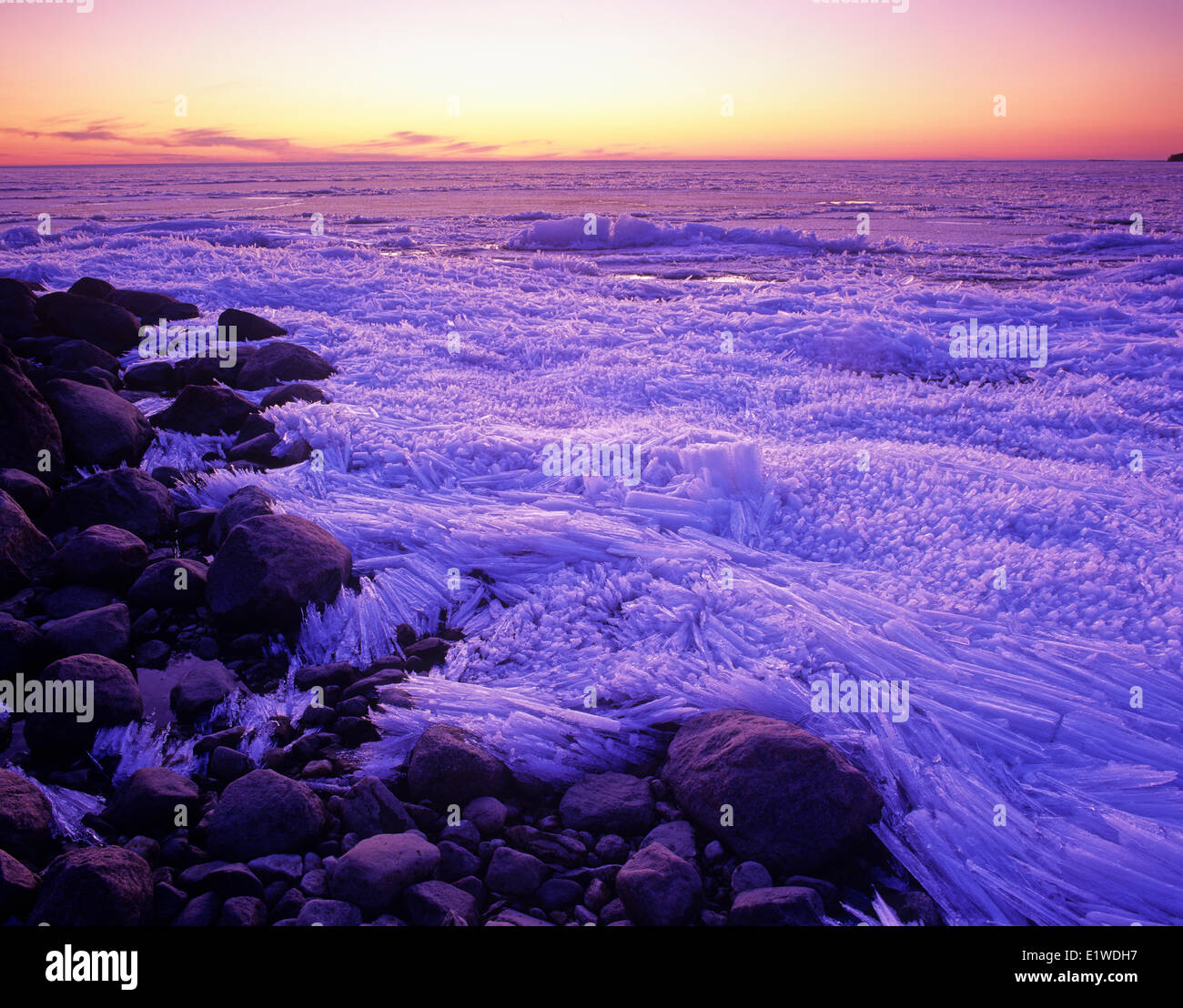 Molla di fusione di ghiaccio lungo il Lago Winnipeg, Manitoba, Canada Foto Stock