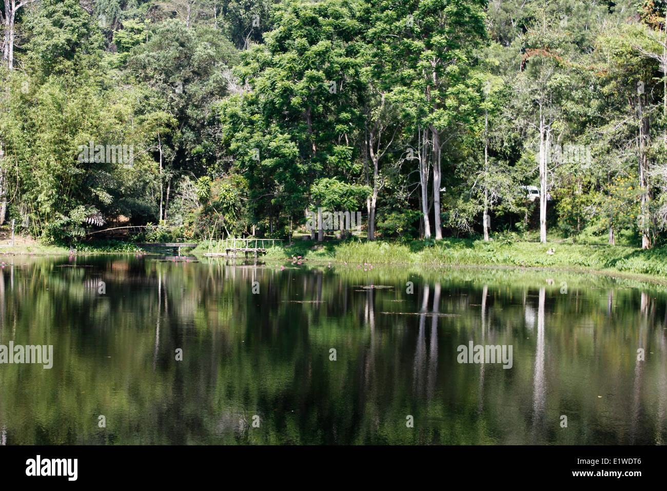 Ingresso della Khao Phra Thaeo National Park, Phuket, Tailandia Foto Stock