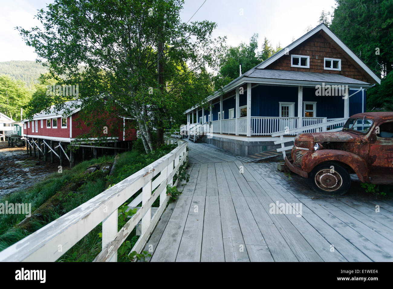 Il Boardwalk a Telegraph Cove si collega il pittoresco villaggio che è una meta turistica molto wildlife visualizzazione di punto di rientro. Telegraph Foto Stock