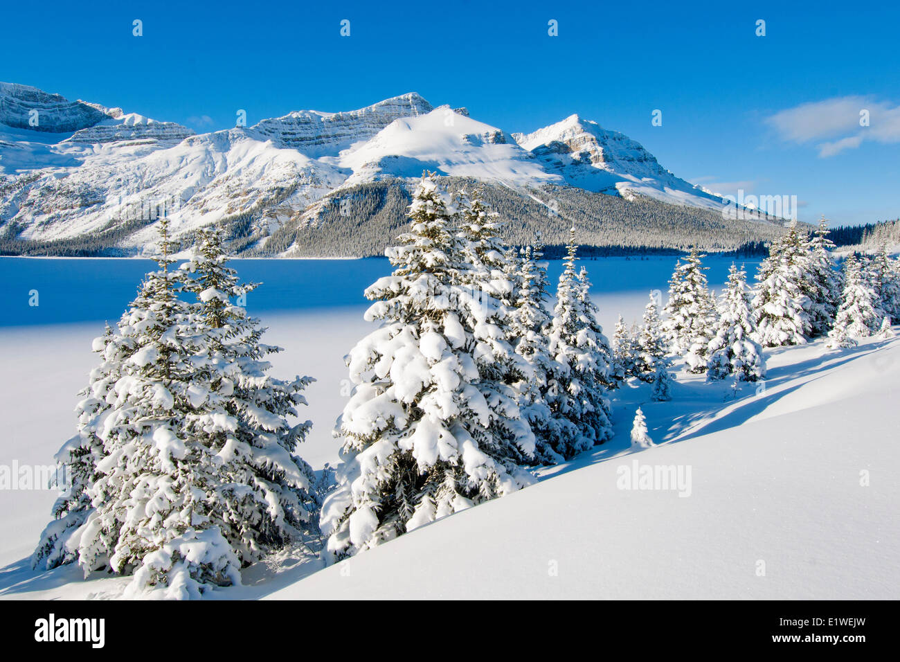 Al Lago Bow, Icefield Parkway,il Parco Nazionale di Banff, western Alberta, Canada Foto Stock