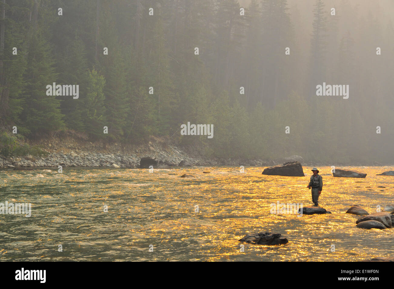 Dean River Forest Fire Foto Stock