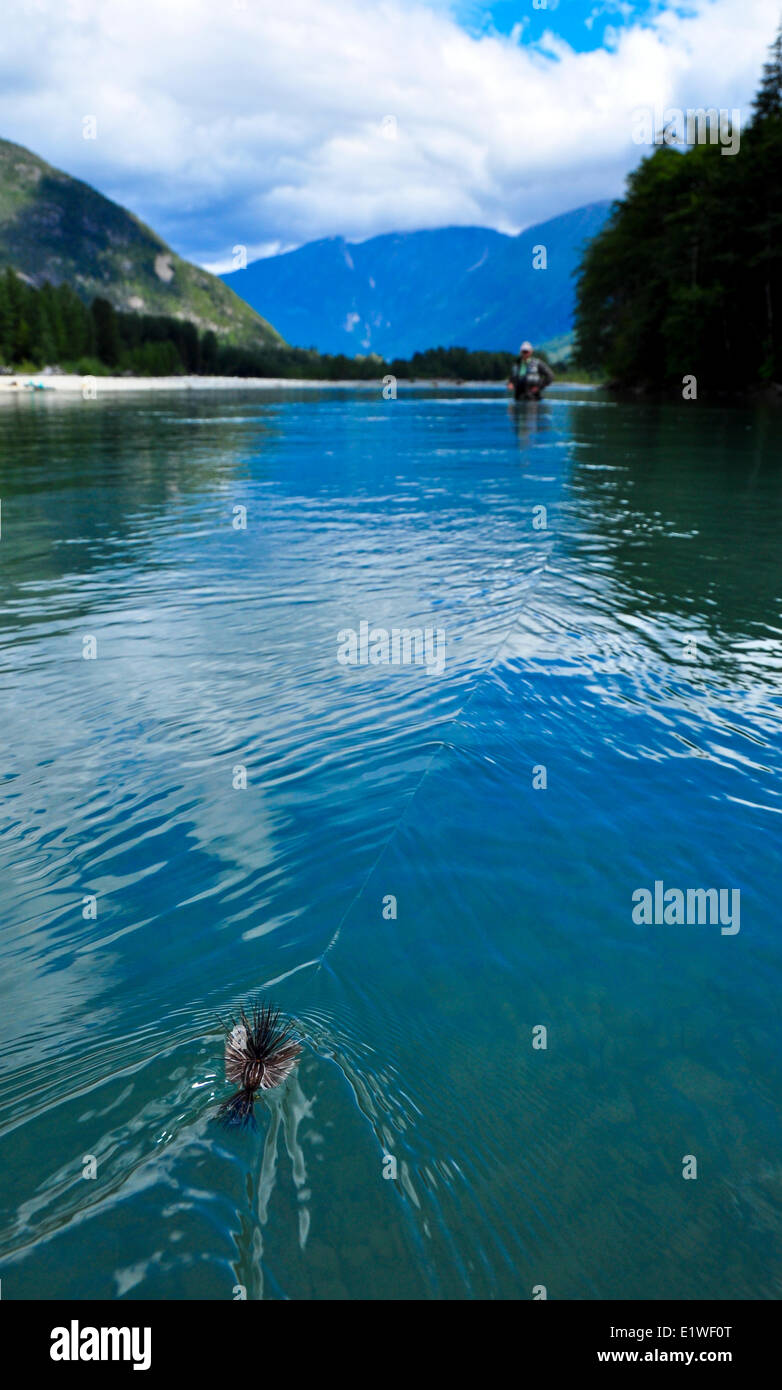 Steelhead Pesca, Dean River Foto Stock
