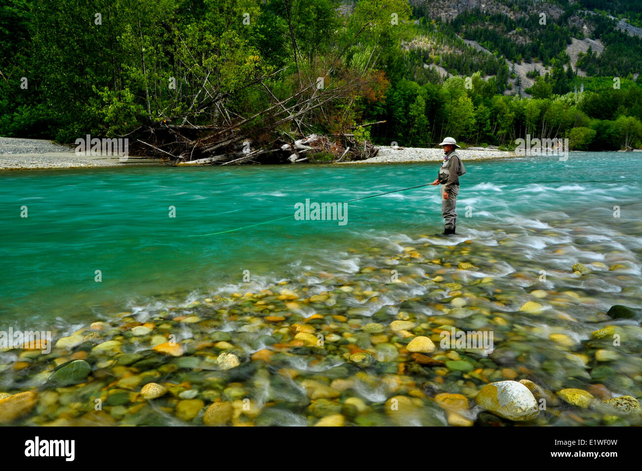 L'uomo la pesca sul fiume Dean, British Columbia, Canada Foto Stock
