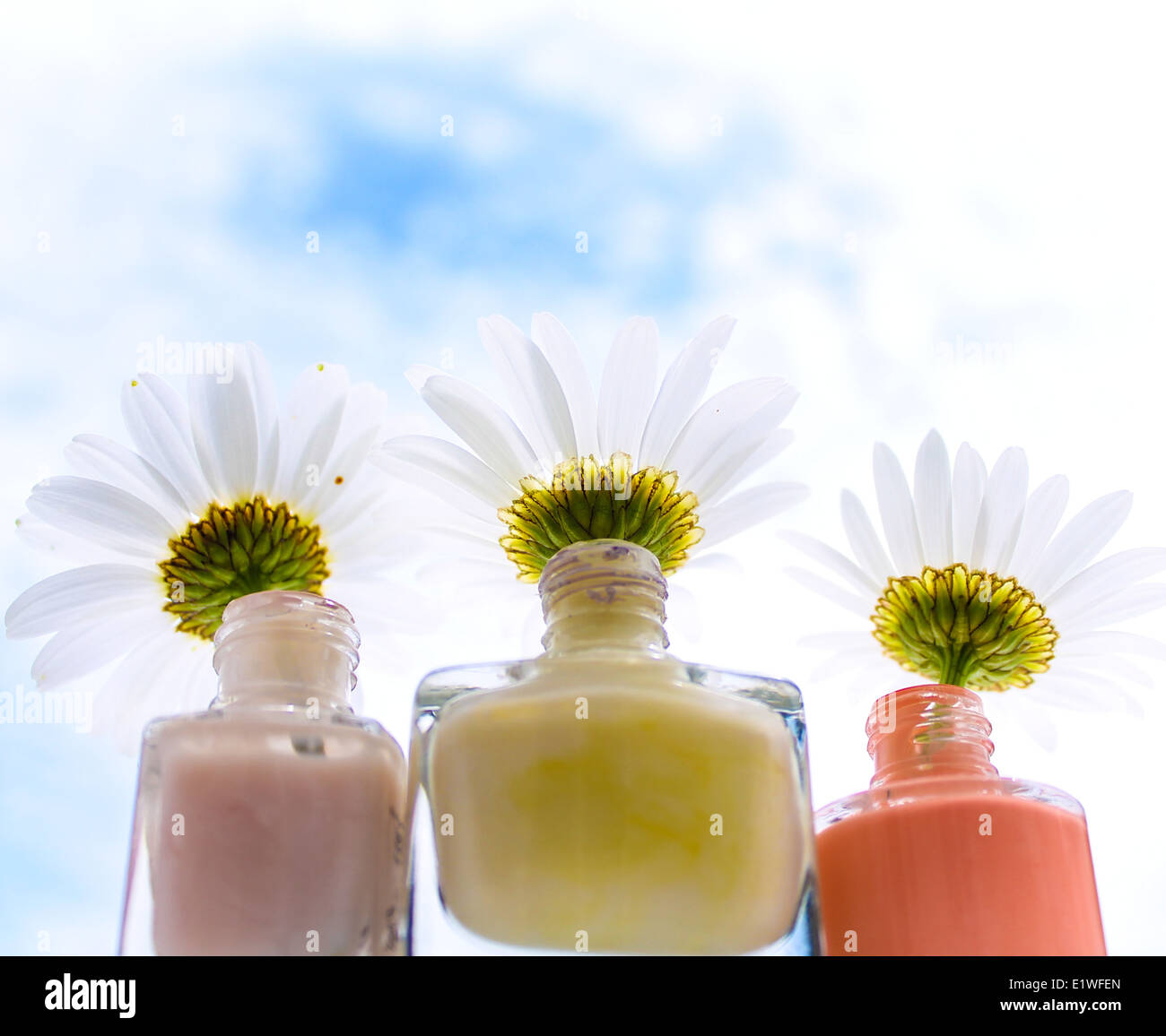 Tre margherite in smalto per unghie pentole per raggiungere il cielo blu Foto Stock