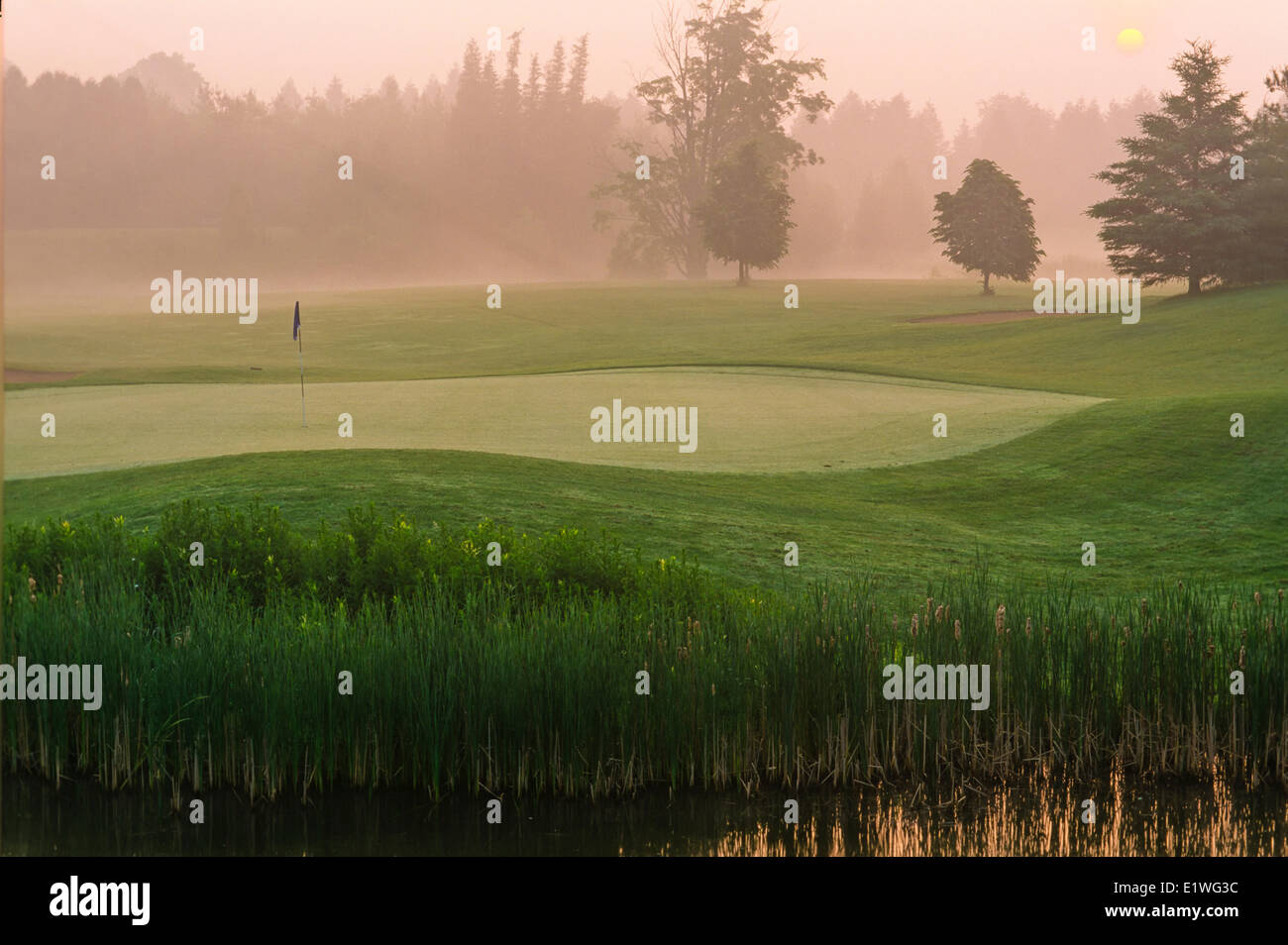 Campo da Golf, Guelph Line Road, Guelph, Ontario, Canada Foto Stock