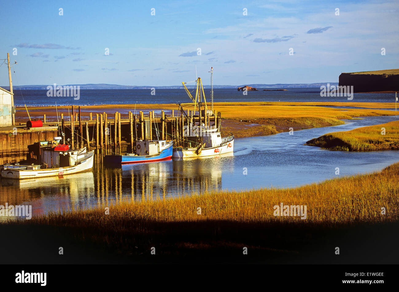 Barche da pesca a Pereau wharf, Baia di Fundy, Nova Scotia, Canada Foto Stock